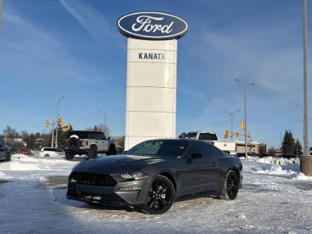 2021 Ford Mustang EcoBoost Premium (Stk: 23-0772) in Kanata - Image 1 of 18