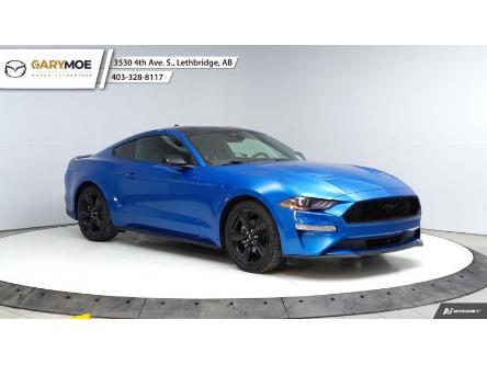 2021 Ford Mustang EcoBoost (Stk: ML1378) in Lethbridge - Image 1 of 33