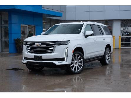 2024 Cadillac Escalade Premium Luxury Platinum (Stk: R211) in Chatham - Image 1 of 24