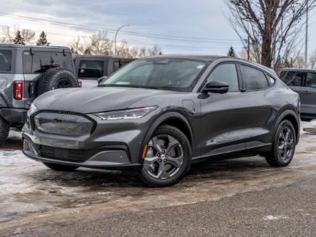 2023 Ford Mustang Mach-E Select (Stk: P-1438) in Calgary - Image 1 of 27