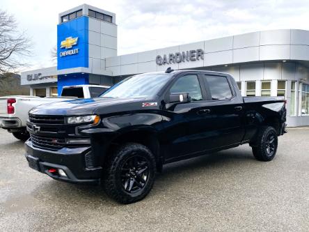 2019 Chevrolet Silverado 1500 LT Trail Boss (Stk: 4T199A) in Hope - Image 1 of 13