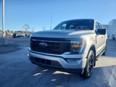 2023 Ford F-150 XLT (Stk: 23-0501) in Prince Albert - Image 1 of 15