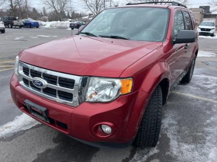 2012 Ford Escape XLT (Stk: 24244A) in Kingston - Image 1 of 10