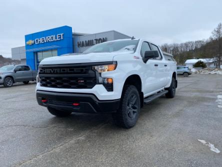 2024 Chevrolet Silverado 1500 Custom Trail Boss (Stk: 11925) in Wakefield - Image 1 of 20