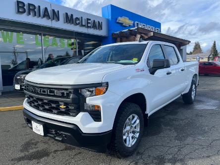 2024 Chevrolet Silverado 1500 Work Truck (Stk: M9060-24) in Courtenay - Image 1 of 24