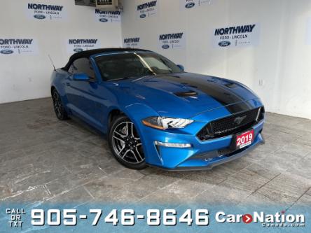2019 Ford Mustang GT PREMIUM | CONVERTIBLE | LEATHER | NAVIGATION (Stk: P10307) in Brantford - Image 1 of 20