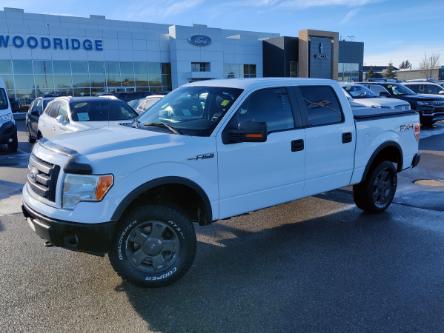 2010 Ford F-150 FX4 (Stk: P-2098A) in Calgary - Image 1 of 23