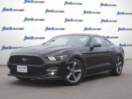 2017 Ford Mustang V6 (Stk: 37645) in Georgetown - Image 1 of 31