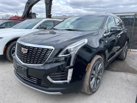 2024 Cadillac XT5 Premium Luxury (Stk: 731693) in Markham - Image 1 of 5