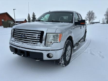2010 Ford F-150 XLT (Stk: 4B5253) in Cardston - Image 1 of 16