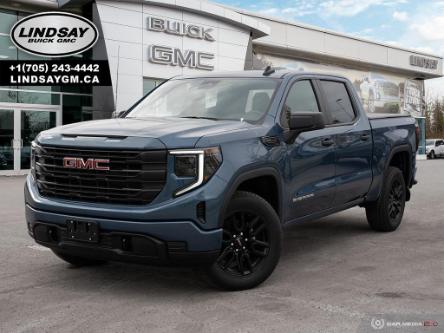 2024 GMC Sierra 1500 Pro (Stk: 4099) in Lindsay - Image 1 of 27