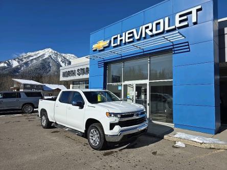 2023 Chevrolet Silverado 1500 LT (Stk: PG355321) in Fernie - Image 1 of 10