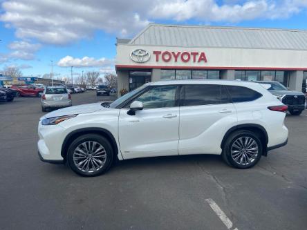 2021 Toyota Highlander Hybrid Limited (Stk: 2402502) in Cambridge - Image 1 of 19