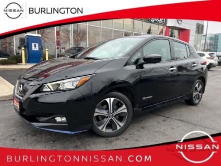 2019 Nissan LEAF  (Stk: A8125) in Burlington - Image 1 of 22