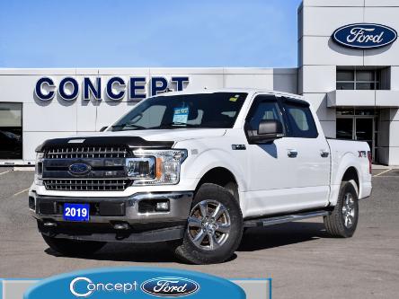 2019 Ford F-150 XL (Stk: F30783A) in GEORGETOWN - Image 1 of 28