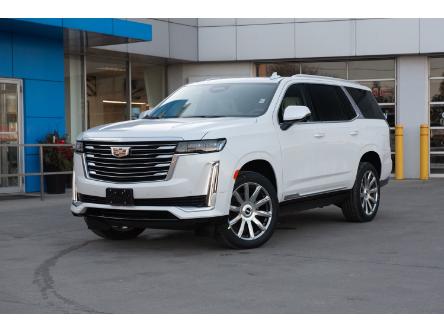 2024 Cadillac Escalade Premium Luxury Platinum (Stk: R215) in Chatham - Image 1 of 23