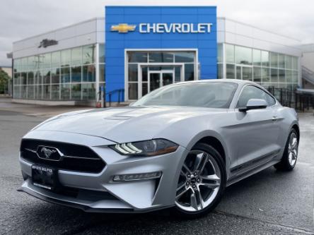 2019 Ford Mustang EcoBoost (Stk: M24-0059P) in Chilliwack - Image 1 of 20