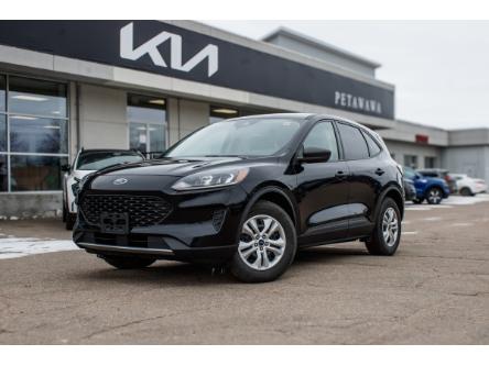 2020 Ford Escape S (Stk: 24061A) in Petawawa - Image 1 of 30