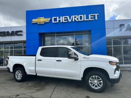 2024 Chevrolet Silverado 1500 Work Truck (Stk: 24T71) in Port Alberni - Image 1 of 29