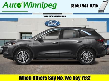 2024 Ford Escape PHEV (Stk: 24137) in Winnipeg - Image 1 of 12