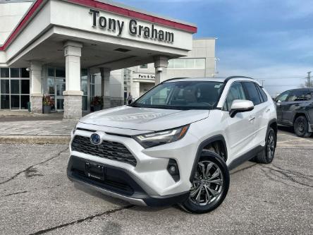 2023 Toyota RAV4 Hybrid Limited (Stk: E9729) in Ottawa - Image 1 of 25