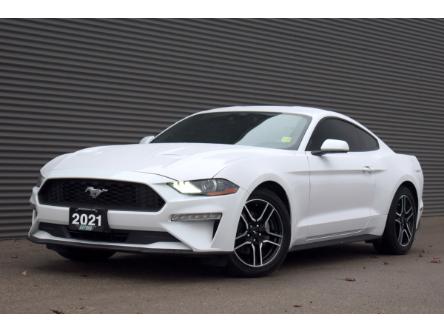 2021 Ford Mustang EcoBoost (Stk: 24146A) in London - Image 1 of 20