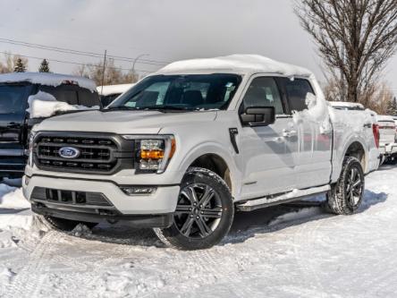2023 Ford F-150 XLT (Stk: P-1395) in Calgary - Image 1 of 27