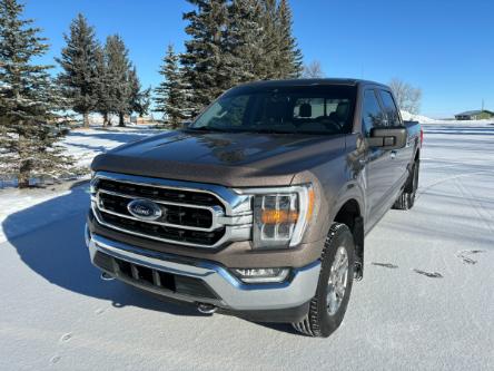 2021 Ford F-150 XLT (Stk: 4B1339) in Cardston - Image 1 of 19