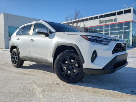 2023 Toyota RAV4 Hybrid XLE (Stk: 41315A) in Edmonton - Image 1 of 30