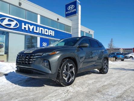 2022 Hyundai Tucson Hybrid Ultimate (Stk: N005639A) in Calgary - Image 1 of 24