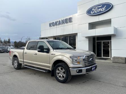 2017 Ford F-150 XLT (Stk: 23T619A) in CRESTON - Image 1 of 19