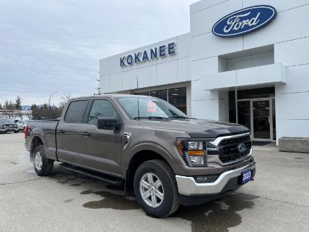 2023 Ford F-150 XLT (Stk: 23T526) in CRESTON - Image 1 of 19
