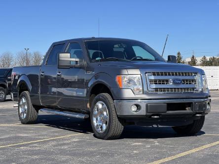2013 Ford F-150 XLT (Stk: FF731A) in Waterloo - Image 1 of 19
