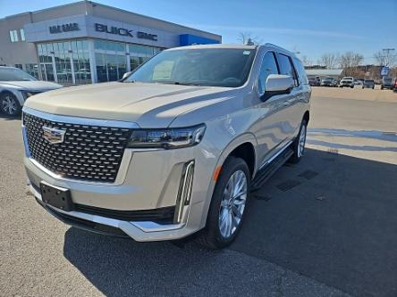 2024 Cadillac Escalade Luxury (Stk: 2024167) in ARNPRIOR - Image 1 of 19