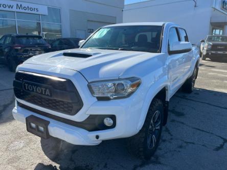 2017 Toyota Tacoma TRD Off Road (Stk: 24AT3869B) in Cranbrook - Image 1 of 8