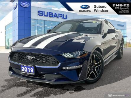 2019 Ford Mustang EcoBoost Premium (Stk: 0248A) in Tecumseh - Image 1 of 26