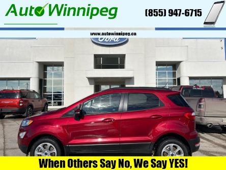 2019 Ford EcoSport SE (Stk: A2459) in Winnipeg - Image 1 of 11