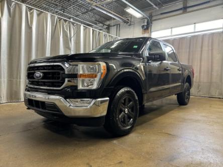 2022 Ford F-150  (Stk: P208A) in Leduc - Image 1 of 19