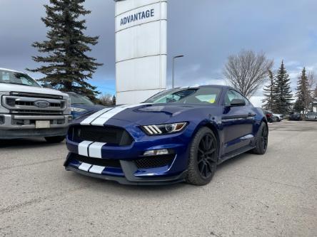2016 Ford Shelby GT350 Base (Stk: 6464) in Calgary - Image 1 of 26