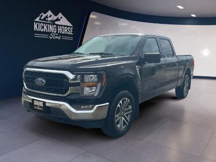 2023 Ford F-150 XLT (Stk: 10834) in Golden - Image 1 of 19