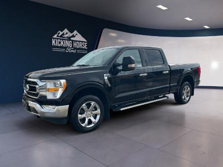 2023 Ford F-150 XLT (Stk: 10637) in Golden - Image 1 of 19