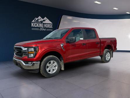 2023 Ford F-150 XLT (Stk: 10705) in Golden - Image 1 of 19