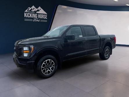 2023 Ford F-150 XL (Stk: 10822) in Golden - Image 1 of 18