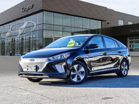 2019 Hyundai Ioniq EV Preferred (Stk: S23194A) in Ottawa - Image 1 of 25
