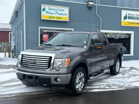 2010 Ford F-150  (Stk: A46125) in Belmont - Image 1 of 16