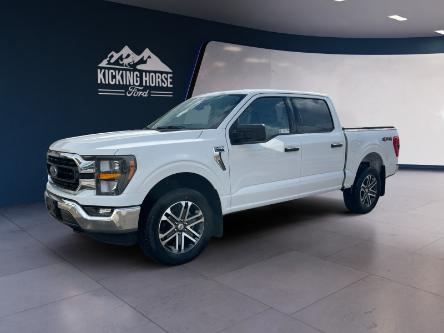 2023 Ford F-150 XLT (Stk: 10862) in Golden - Image 1 of 18