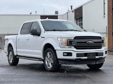 2018 Ford F-150 XLT (Stk: FF497A) in Waterloo - Image 1 of 21