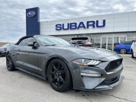 2019 Ford Mustang EcoBoost (Stk: P1726) in Newmarket - Image 1 of 19