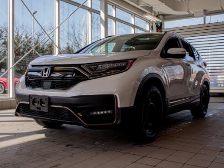 2020 Honda CR-V Black Edition (Stk: P20412) in Kingston - Image 1 of 18