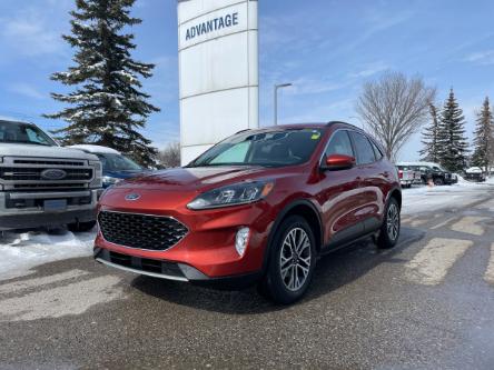 2020 Ford Escape SEL (Stk: R-272A) in Calgary - Image 1 of 22